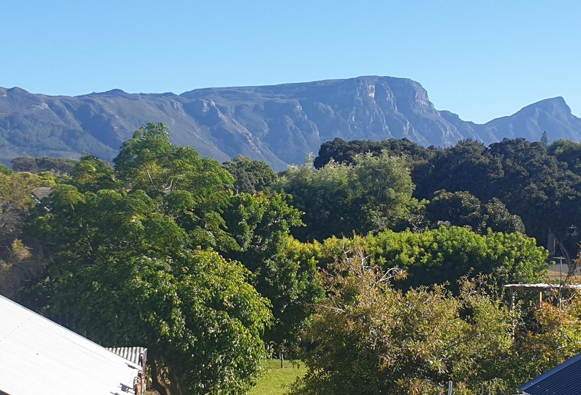 Clement One, A Villa For Family & Friends Cape Town Exterior photo